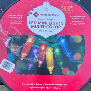 Member's Mark LED Mini Lights Multi-Color